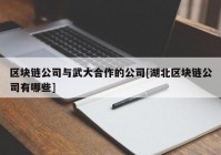 区块链公司与武大合作的公司[湖北区块链公司有哪些]